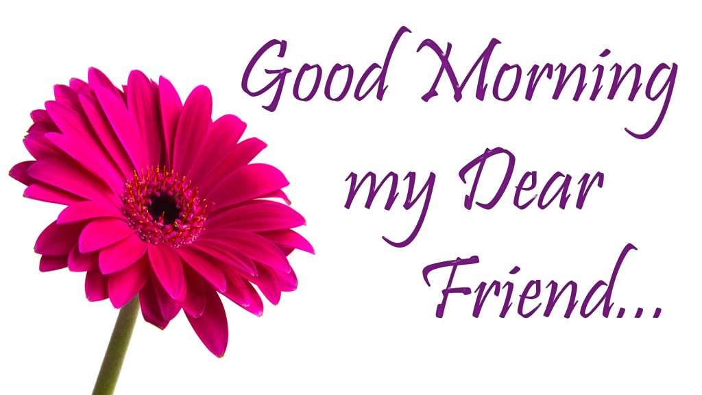 Good morning love messages for friends