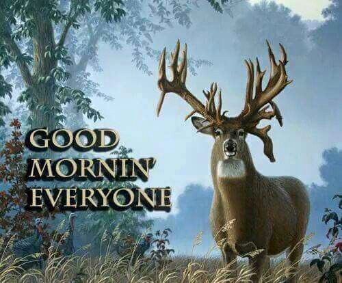 Good Morning Deer Images & GIFs