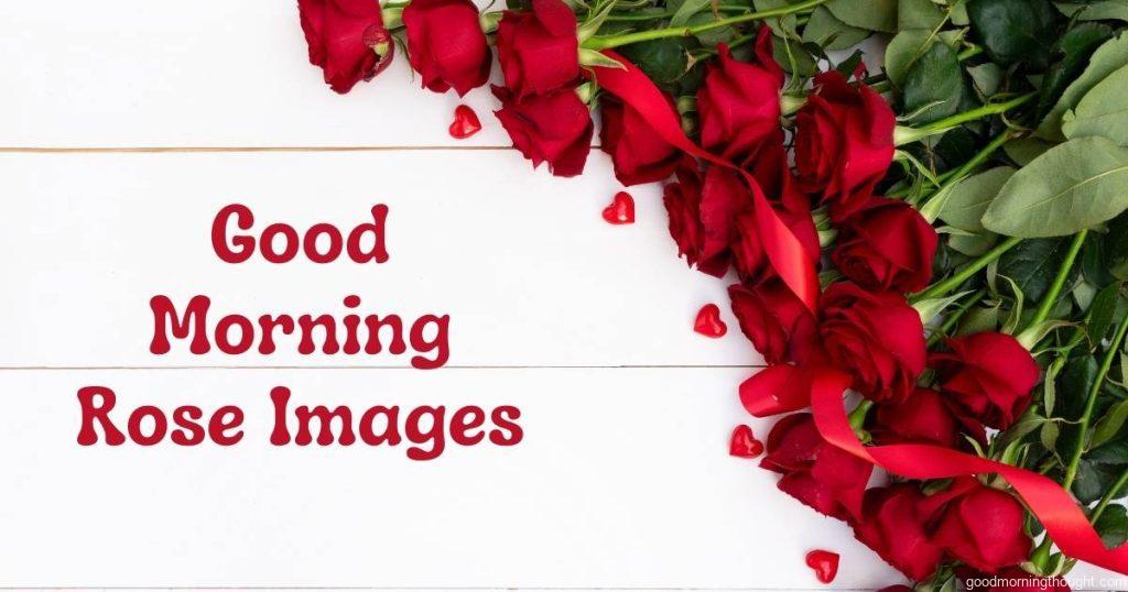 New Good Morning Rose Images , Wallpaper and Photo
