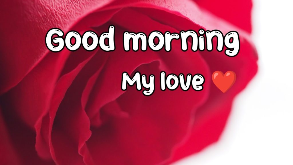 Good morning love messages for my wife