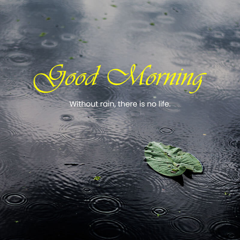 Rainy Good Morning Wishes and Quotes - 𝗚𝗼𝗼𝗱𝗠𝗼𝗿𝗻𝗶𝗻𝗴𝗪𝗶𝘀𝗵𝗲𝘀