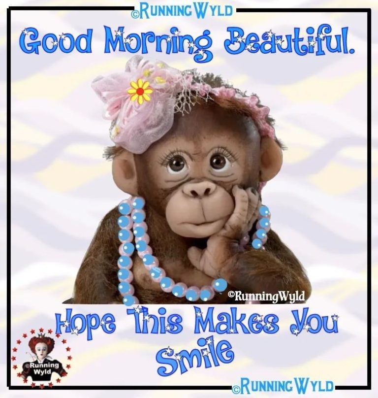 funny Good Morning greetings